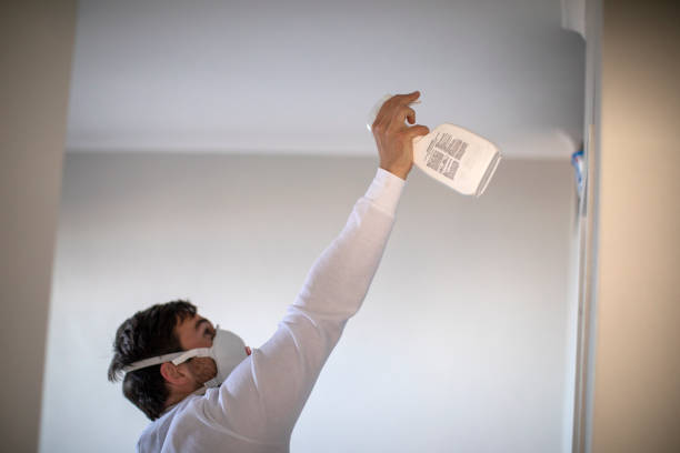 Professional Mold Remediation in Lake Ketchum, WA