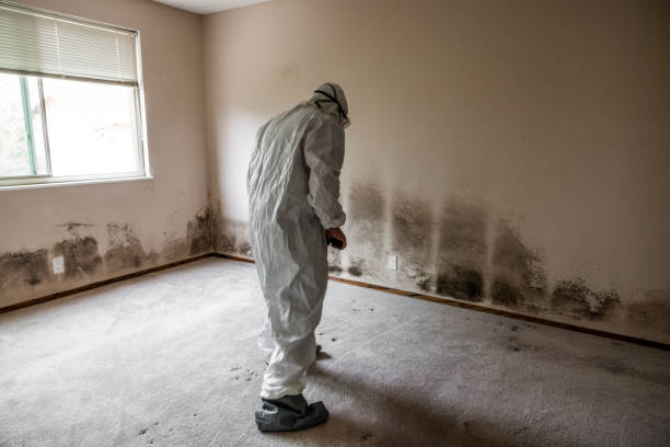 Best Bathroom Mold Remediation in Lake Ketchum, WA
